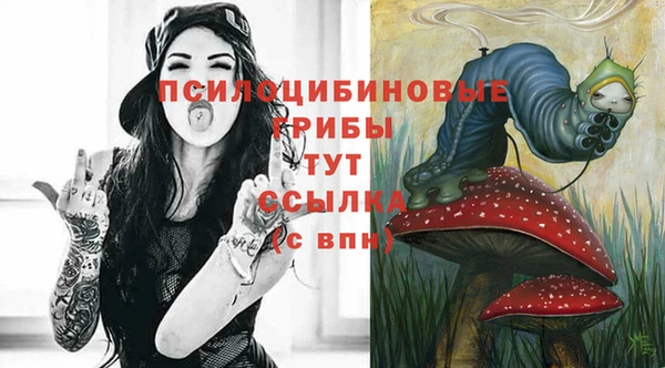 MESCALINE Аркадак