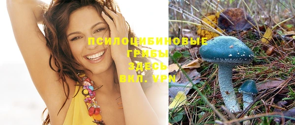 соль курить ск Арсеньев
