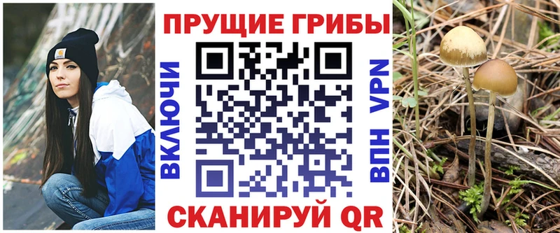 Псилоцибиновые грибы мицелий  Купить закладки  Ярцево 